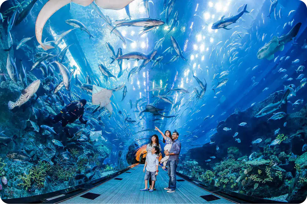 Dubai Aquarium, Ice Rink, KidZania