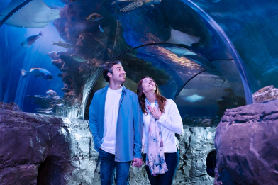 SEA LIFE London