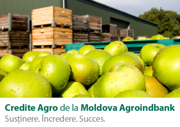 

                                                                                     https://www.maib.md/storage/media/2018/9/25/credite-maib-pentru-afaceri-agricole-profitabile-1/big-credite-maib-pentru-afaceri-agricole-profitabile-1.png
                                            
                                    