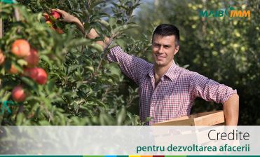 

                                                                                     https://www.maib.md/storage/media/2020/8/21/maib-micsoreaza-ratele-dobanzii-la-creditele-pentru-afaceri-acordate-din-resursele-internationale-de-finantare/big-maib-micsoreaza-ratele-dobanzii-la-creditele-pentru-afaceri-acordate-din-resursele-internationale-de-finantare.png
                                            
                                    