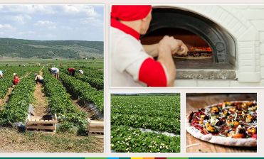 

                                                                                     https://www.maib.md/storage/media/2021/3/31/proiectul-de-suport-in-afaceri-pe-timp-de-pandemie-extrem-de-solicitat-de-clientii-moldova-agroindbank/big-proiectul-de-suport-in-afaceri-pe-timp-de-pandemie-extrem-de-solicitat-de-clientii-moldova-agroindbank.png
                                            
                                    