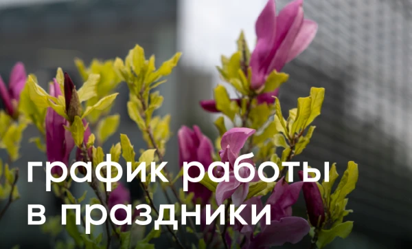 

                                                                                     https://www.maib.md/storage/media/2026/04/30//big-image_1777537793_VRvLmXyHvU.webp
                                            
                                    