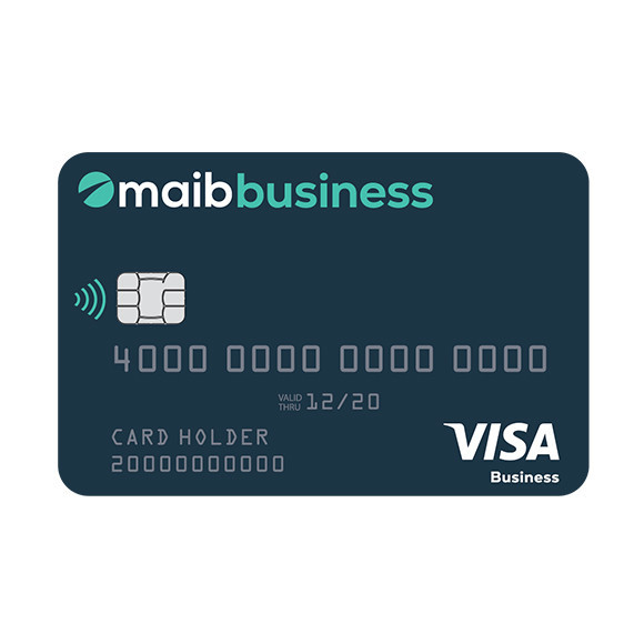 Visa business