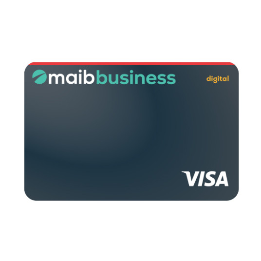 visa digital business