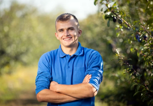 Livada Moldovei (Orchard of Moldova)