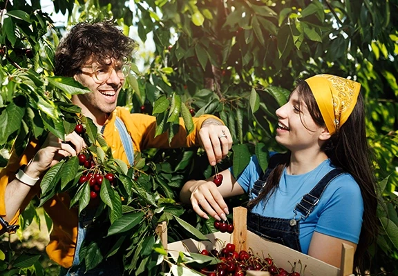 Льготная программа кредитования в аграрном секторе (FCA)​