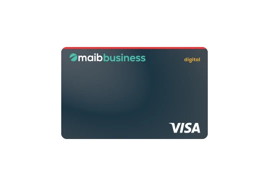visa digital business