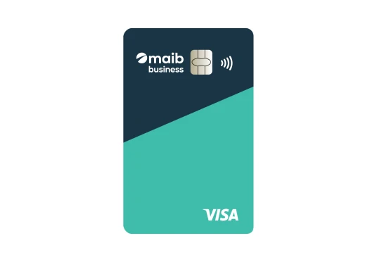 Visa business - card de debit